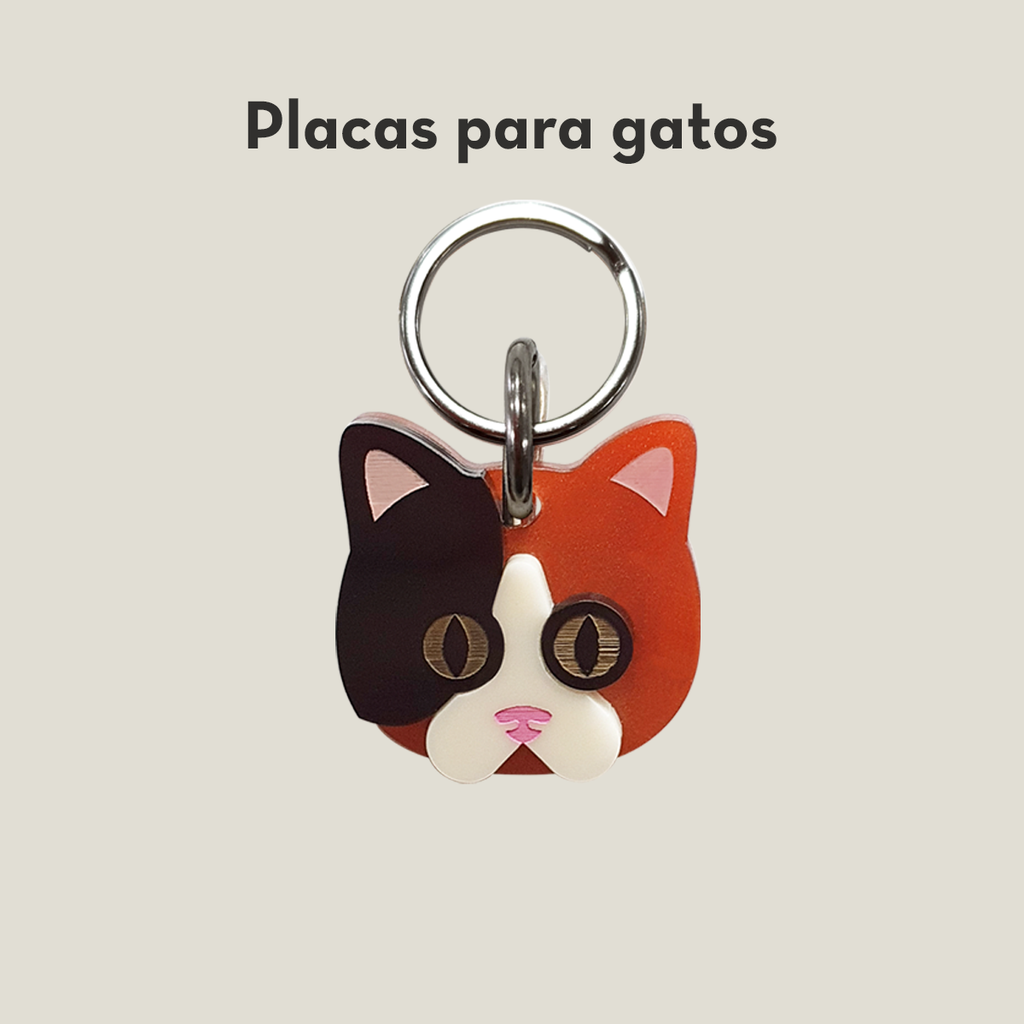 Placas para gatos