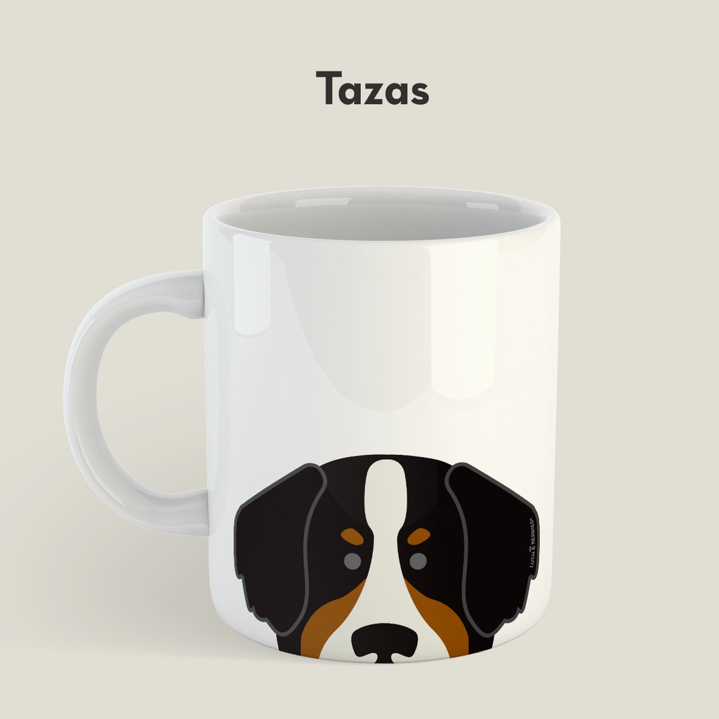 TAZAS