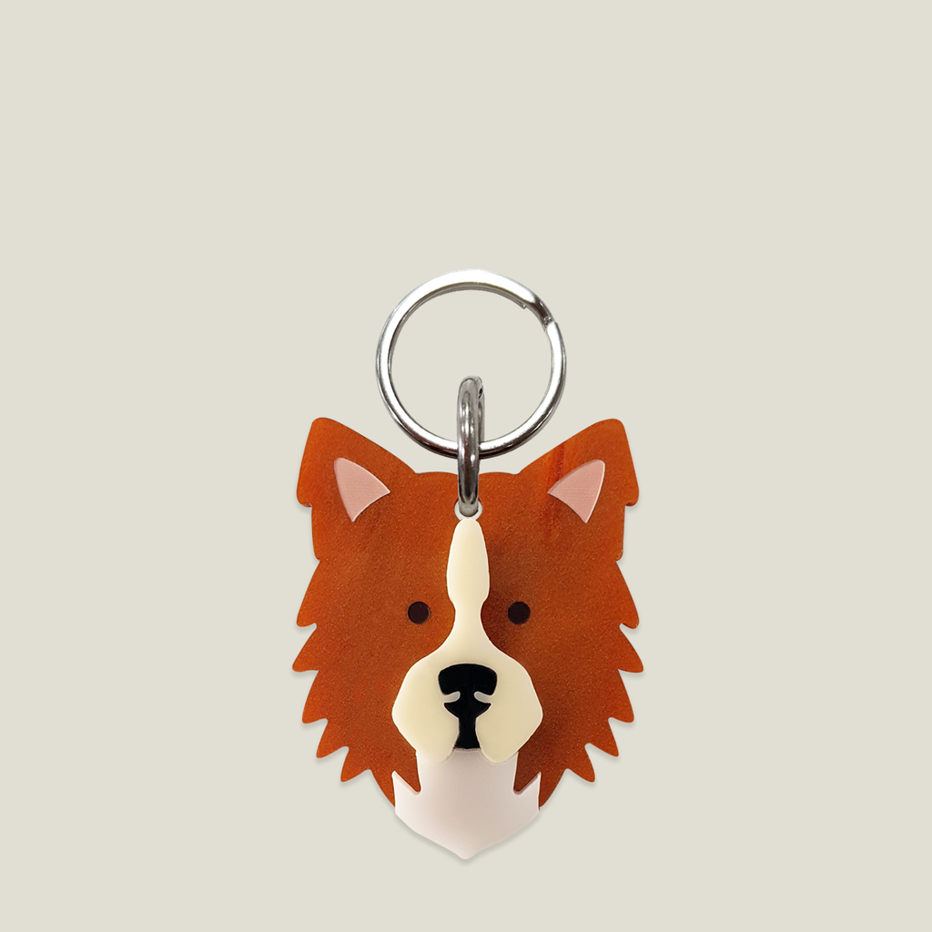 Placa para perro: Border Collie