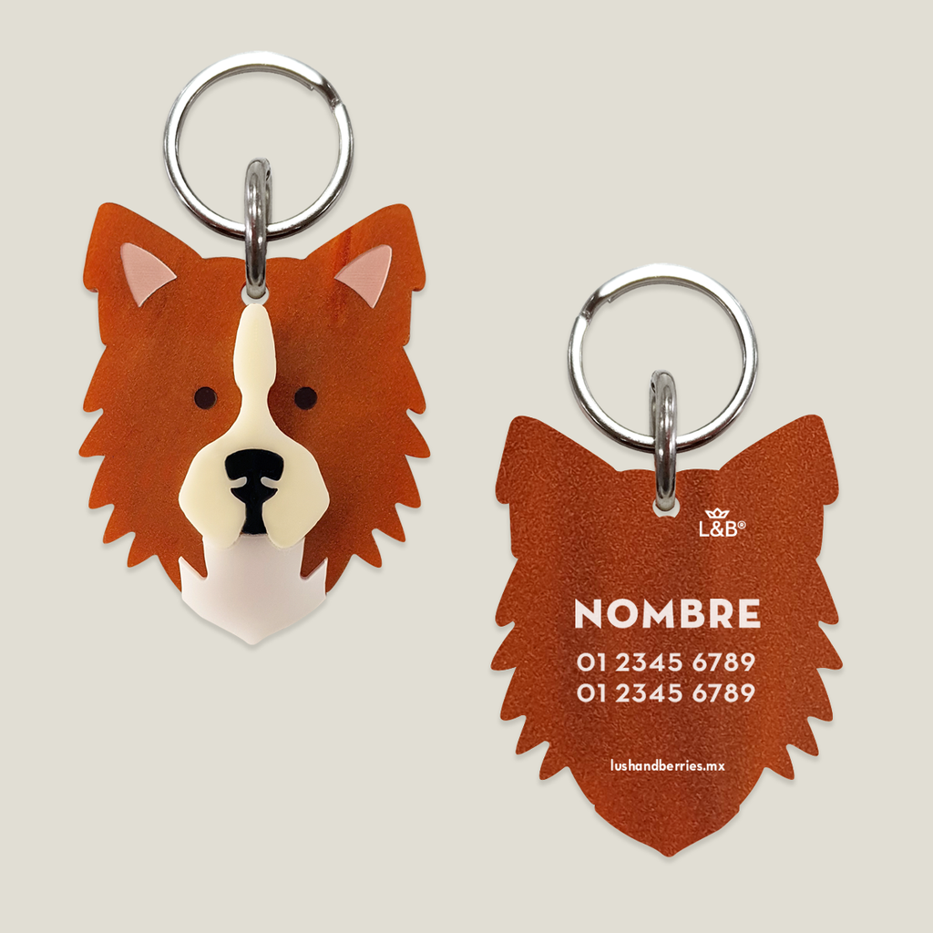 Placa para perro: Border Collie