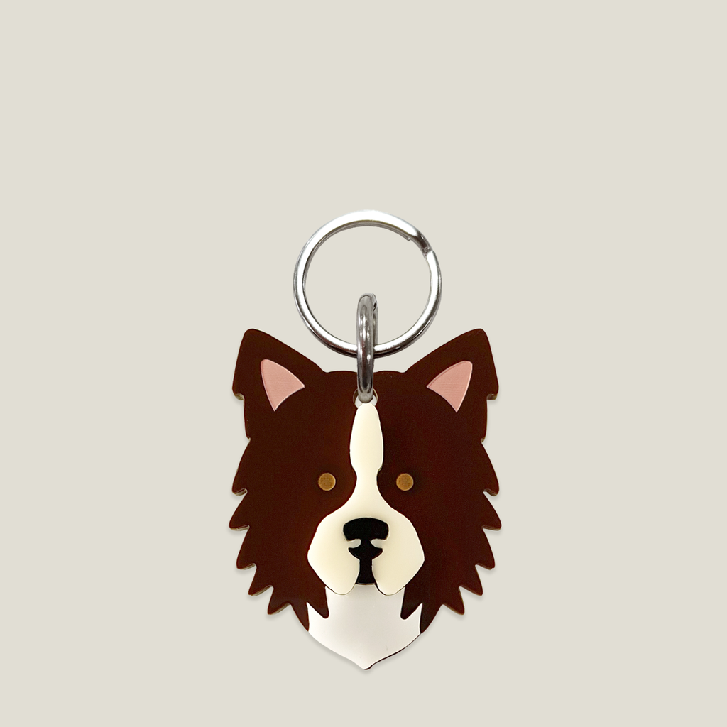 Placa para perro: Border Collie