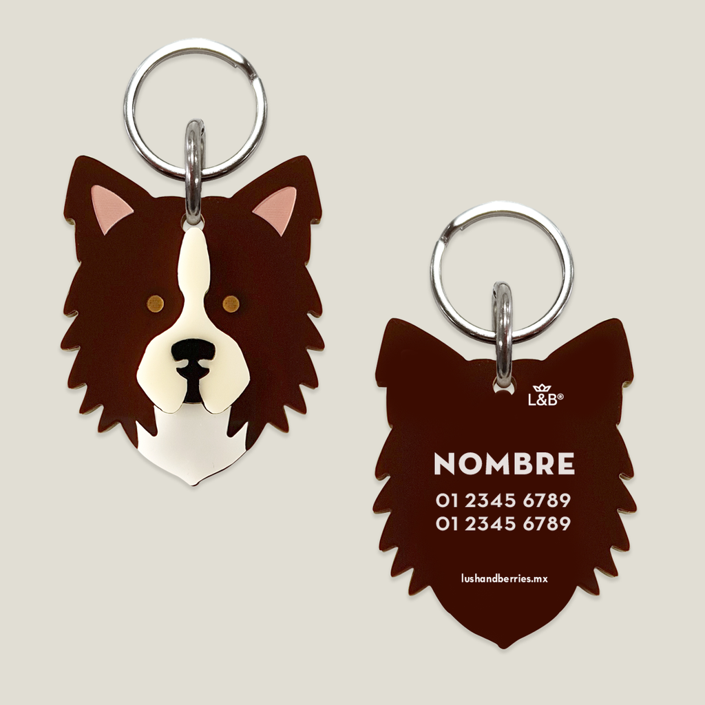 Placa para perro: Border Collie