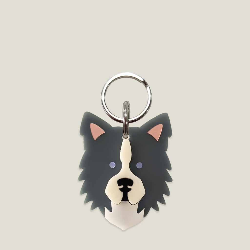 Placa para perro: Border Collie