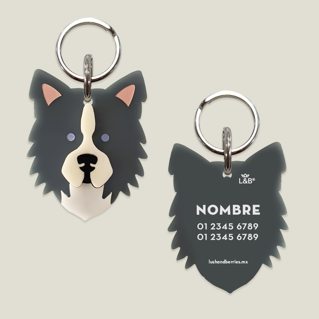 Placa para perro: Border Collie