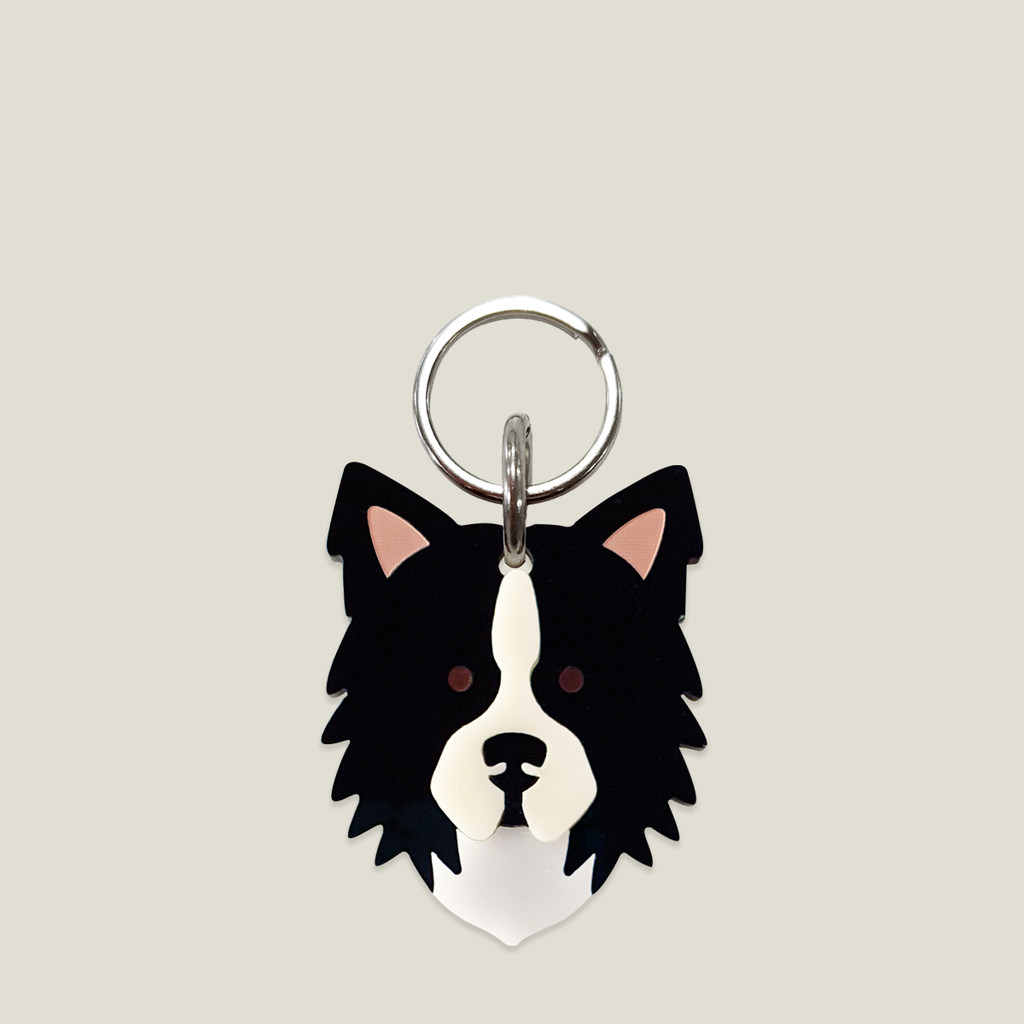 Placa para perro: Border Collie