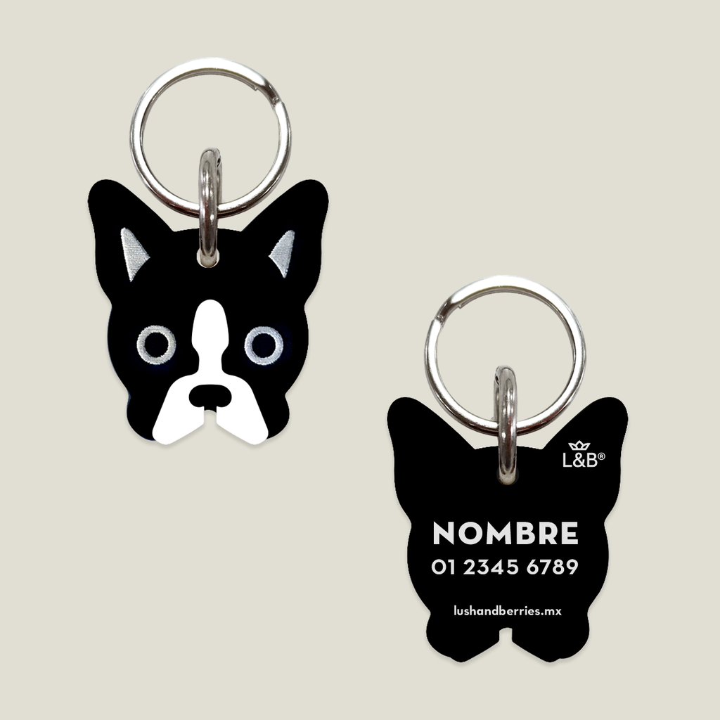 Placa para perro: Boston Terrier