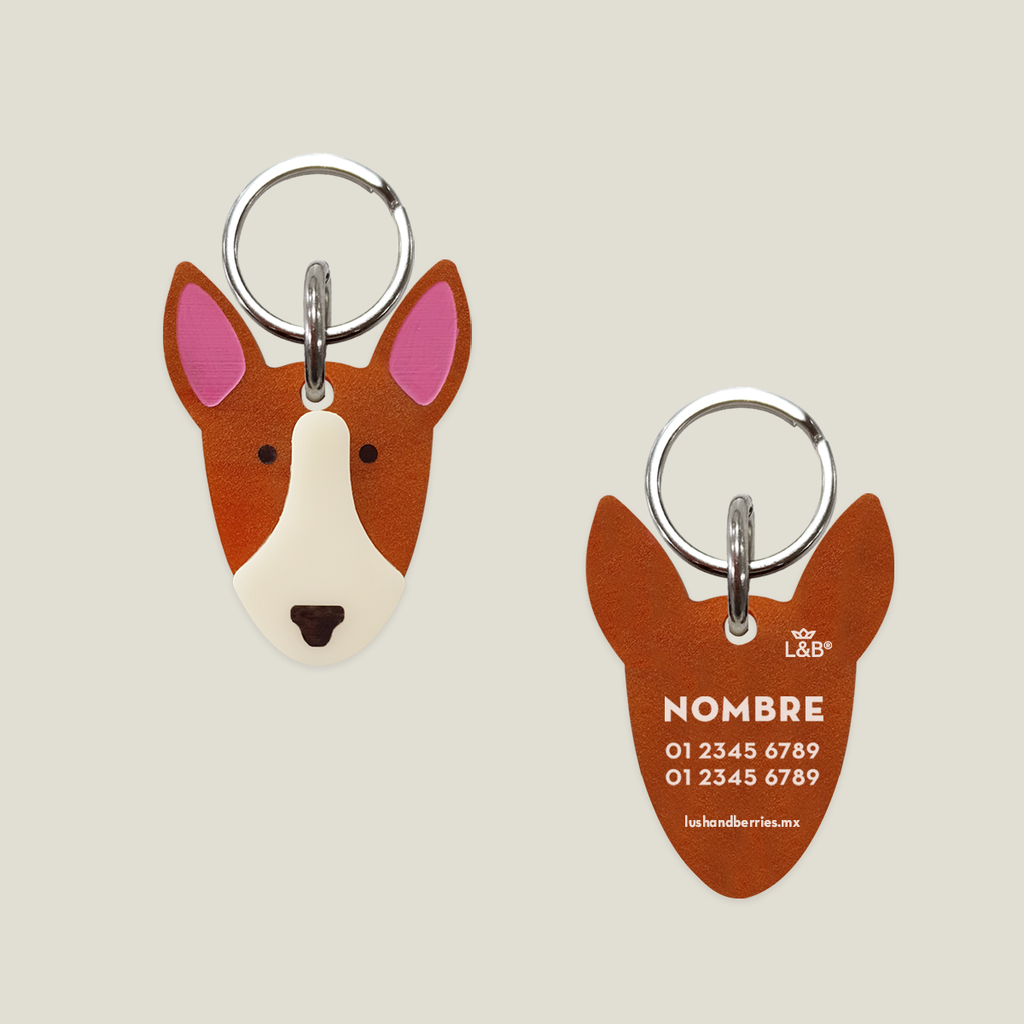 Placa para perro: Bull Terrier