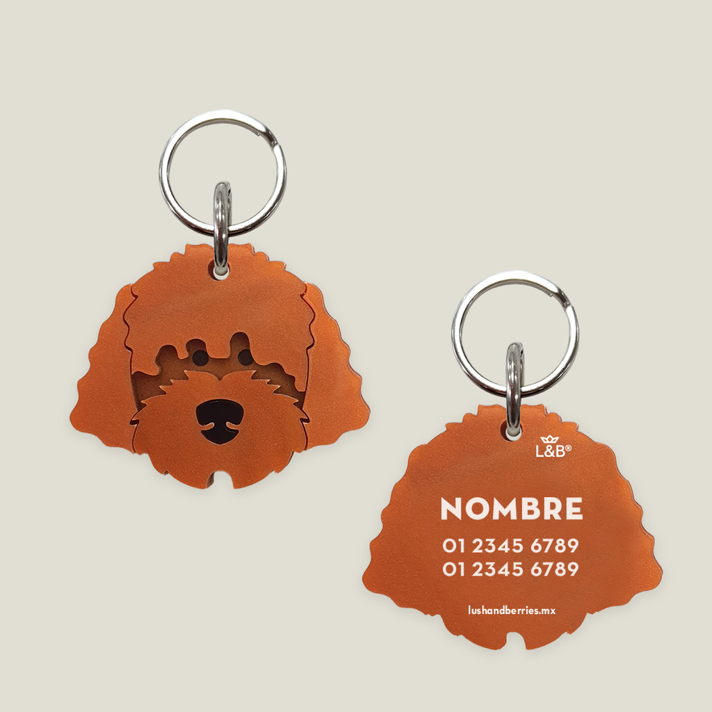 Placa para perro: Golden Doodle