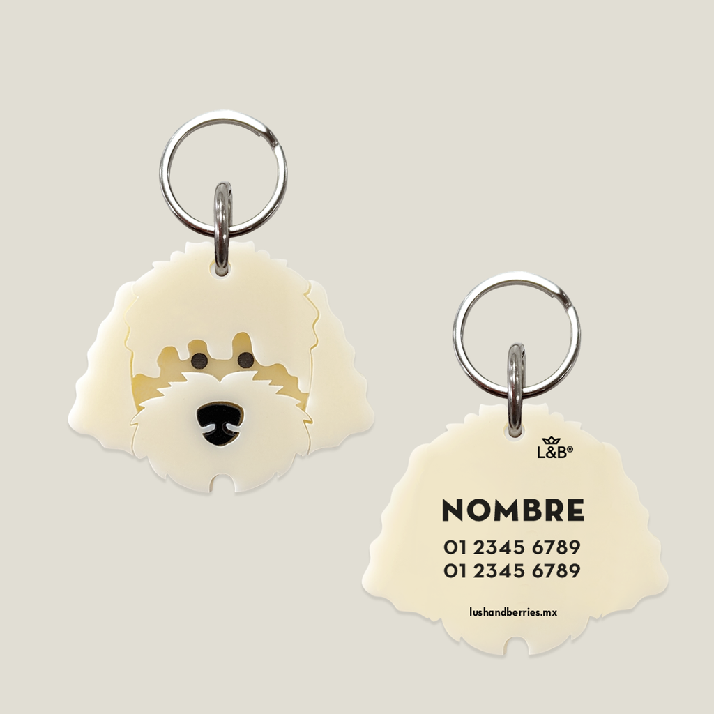 Placa para perro: Golden Doodle