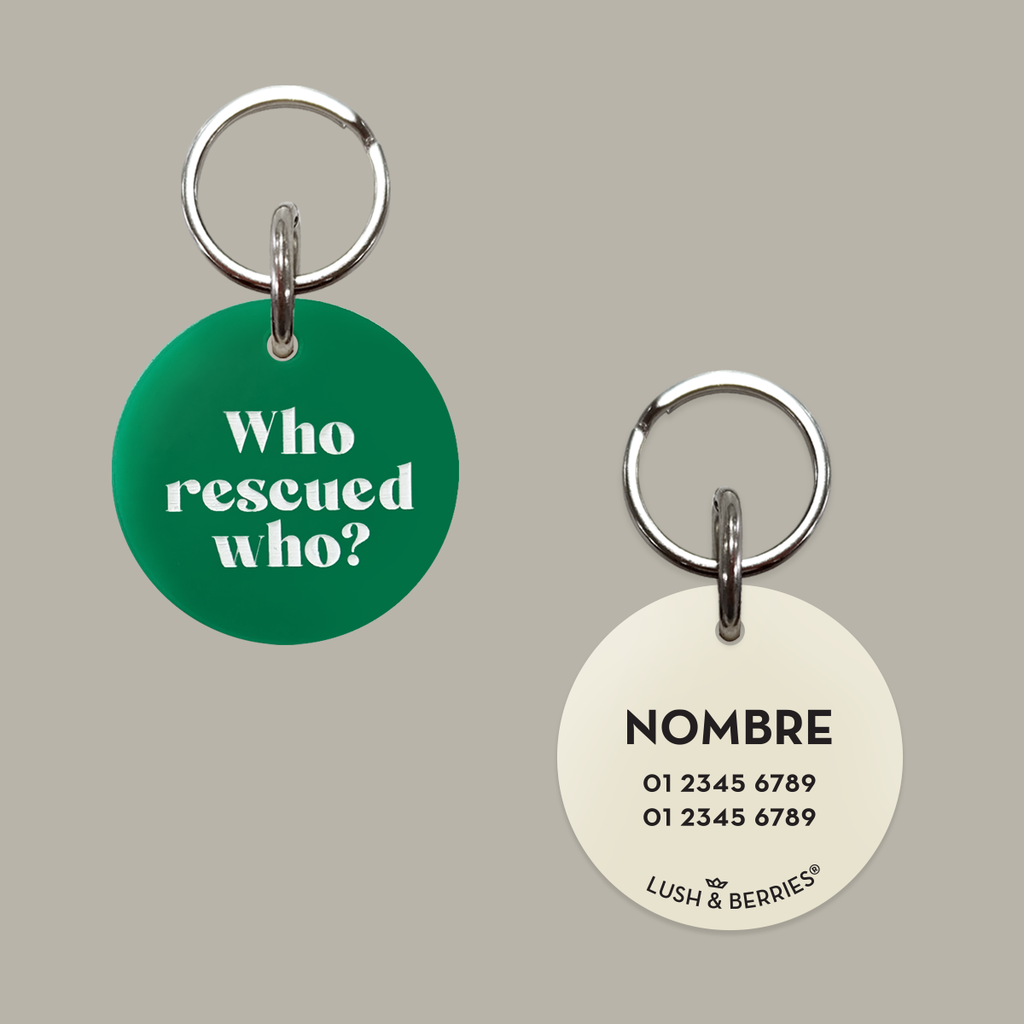 Placa para perro: Who rescued who?