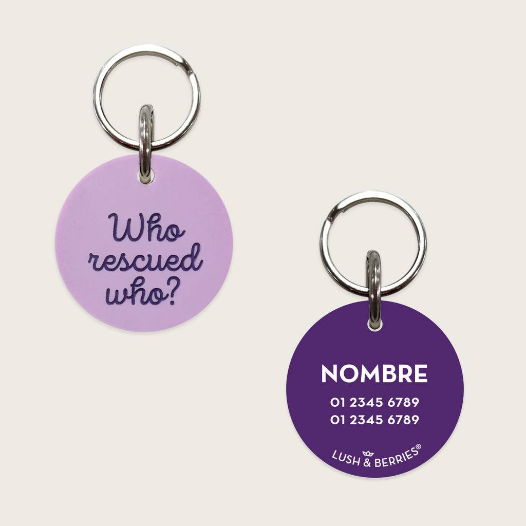 Placa para perro: Who rescued who?