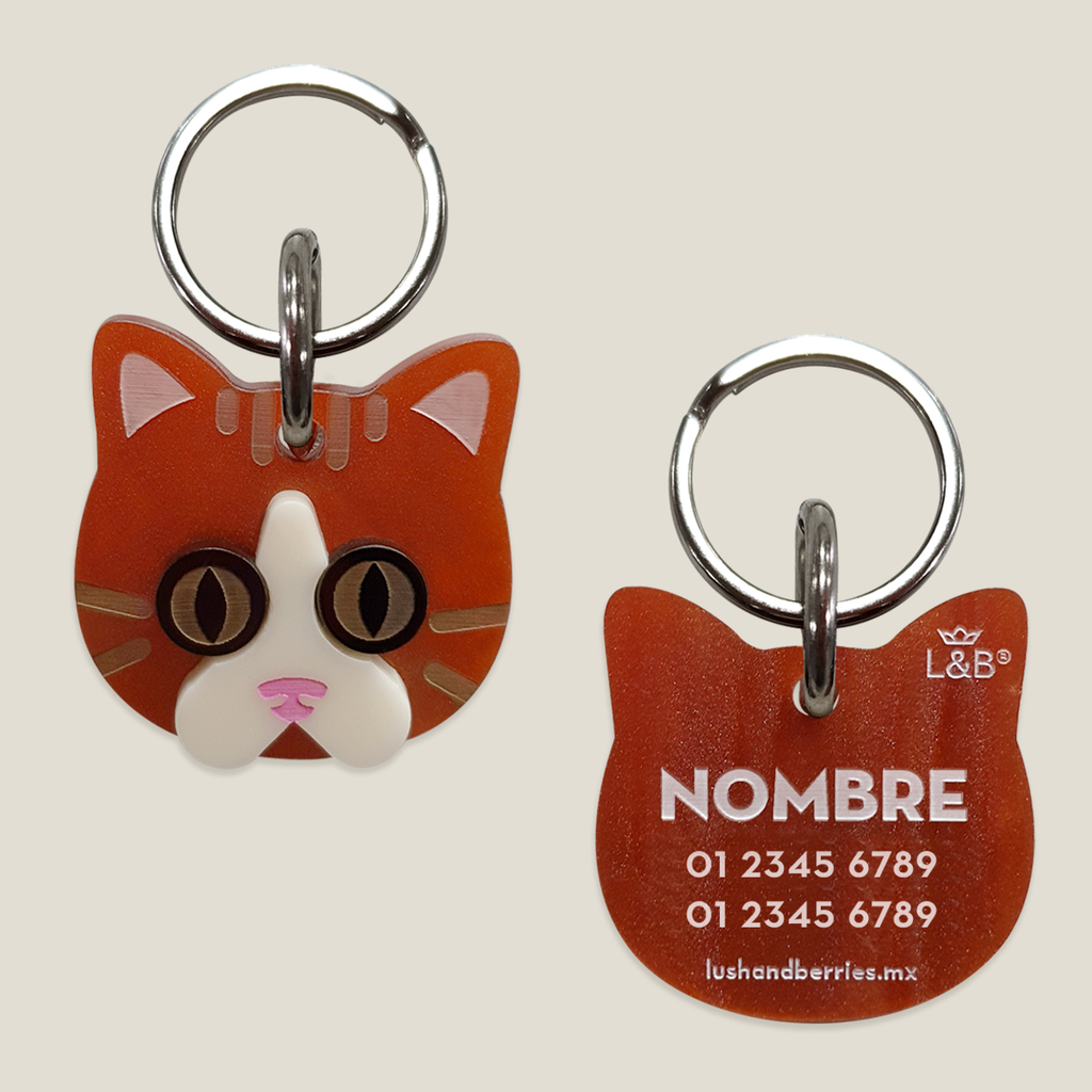 Placa para gato: naranja