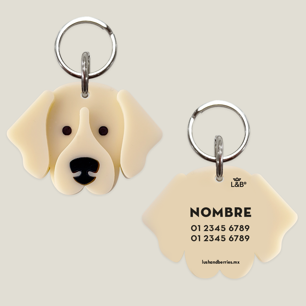 Placa para perro: Golden