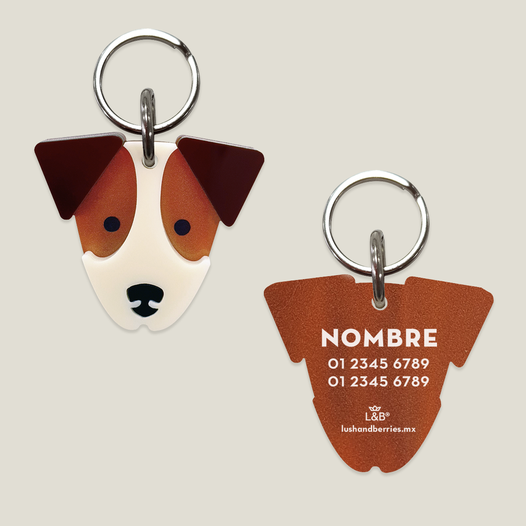 Placa para perro: Jack Russell