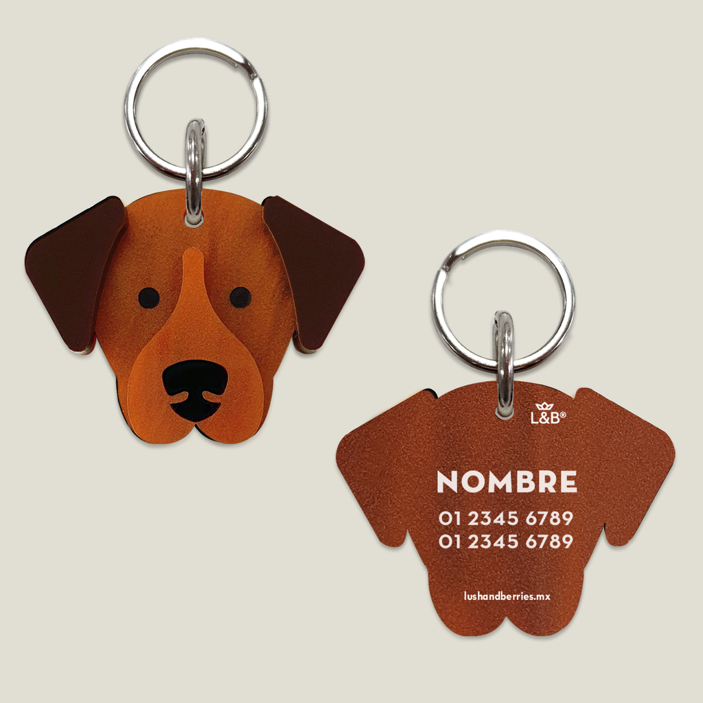 Placa para perro: Labrador