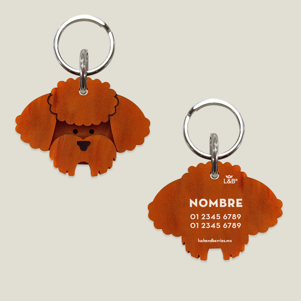 Placa para perro: Poodle