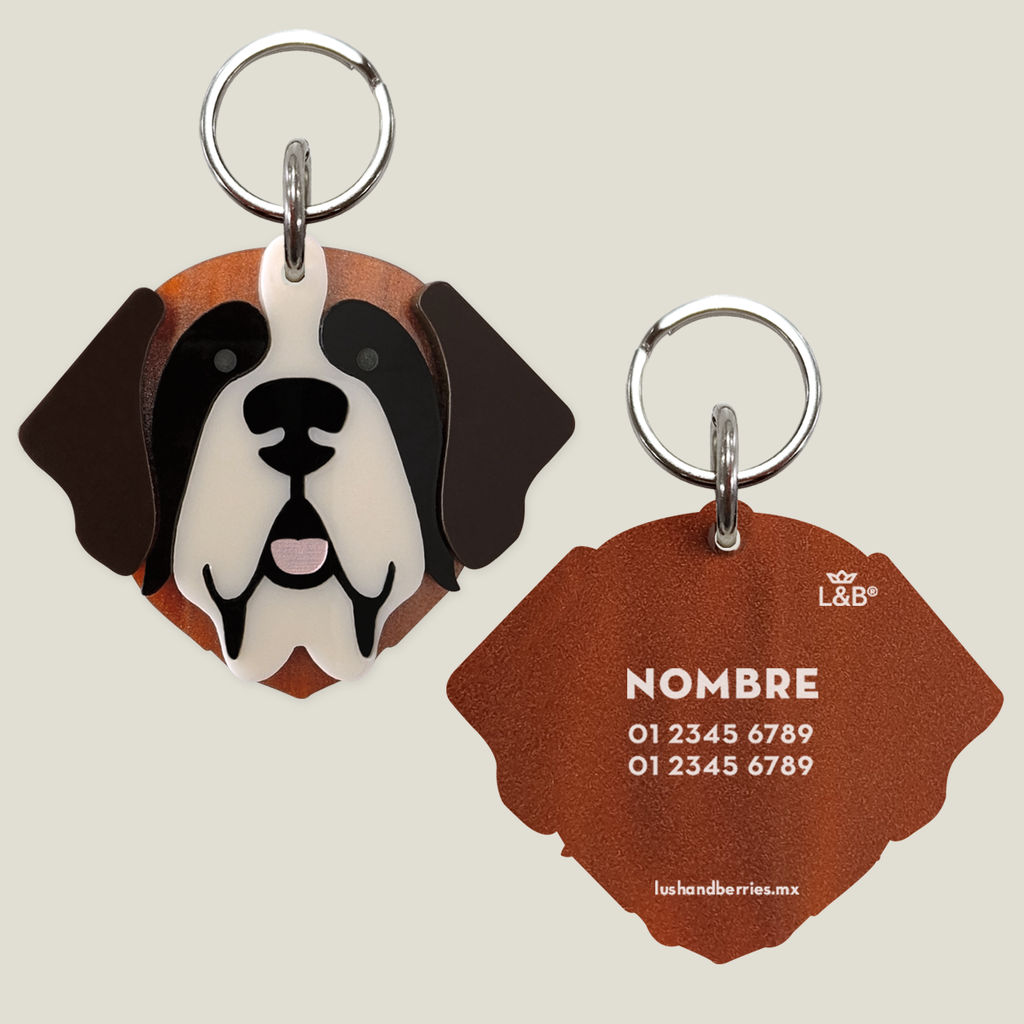 Placa para perro: San Bernardo