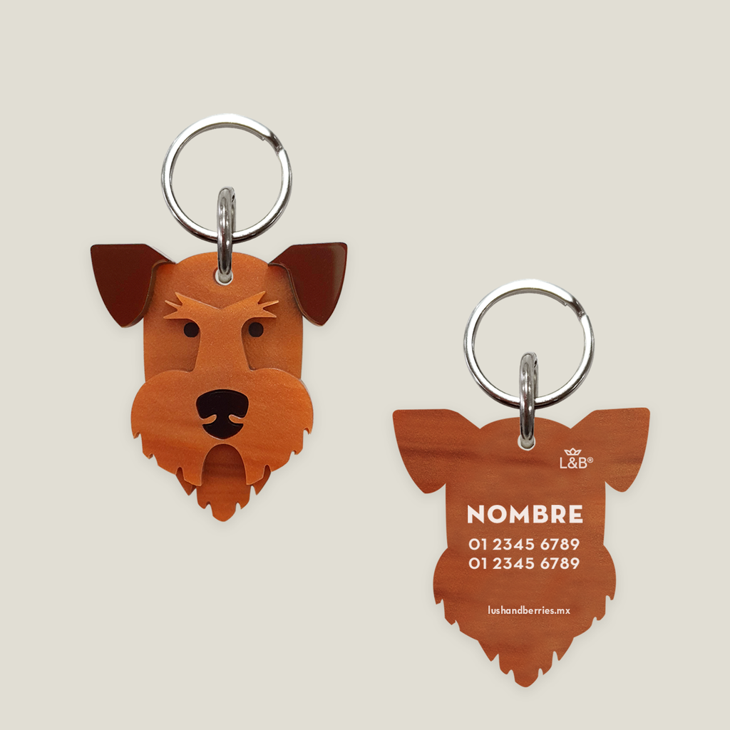 Placa para perro: Welsh Terrier