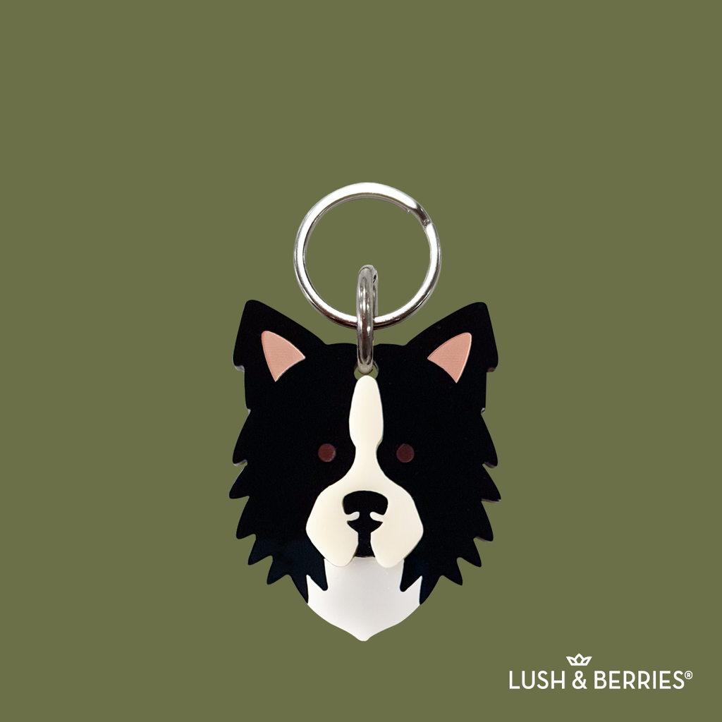 Placa para perro: Border Collie