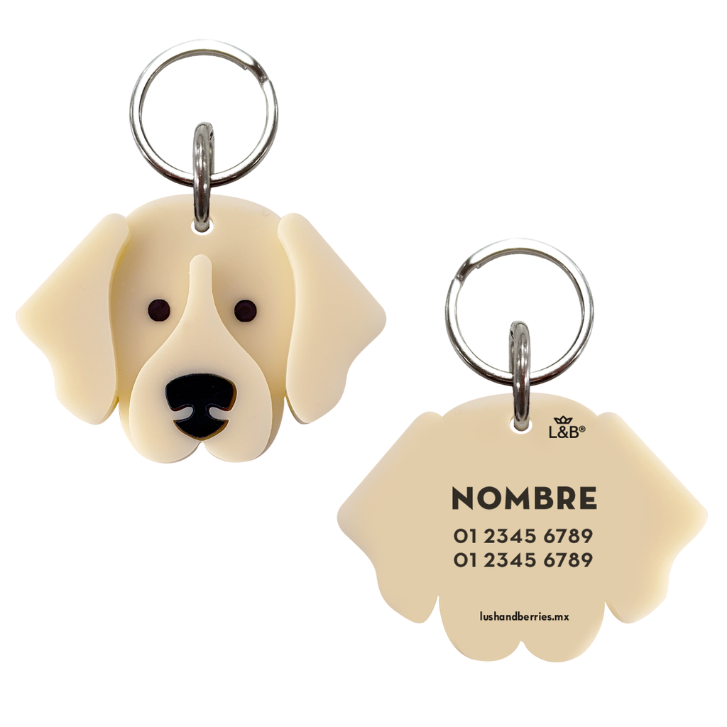 Placa para perro: Golden