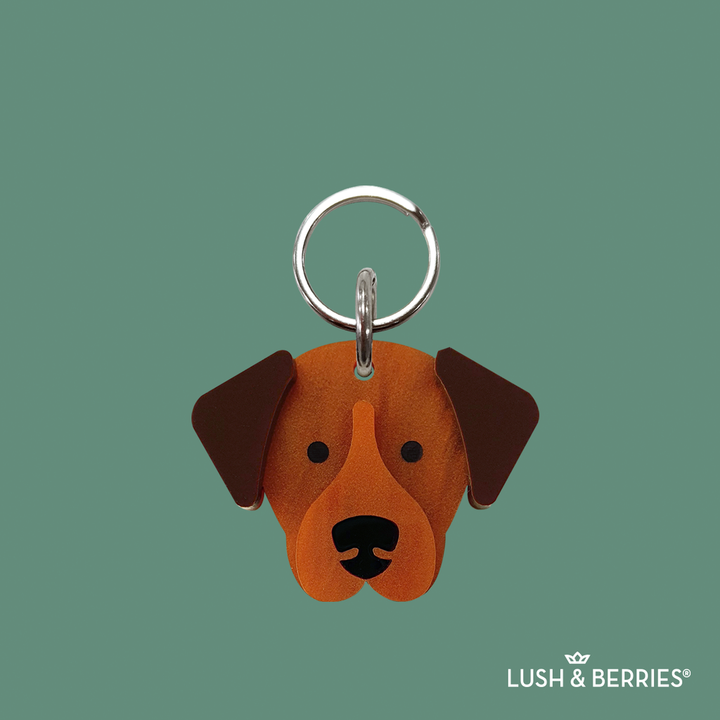 Placa para perro: Labrador
