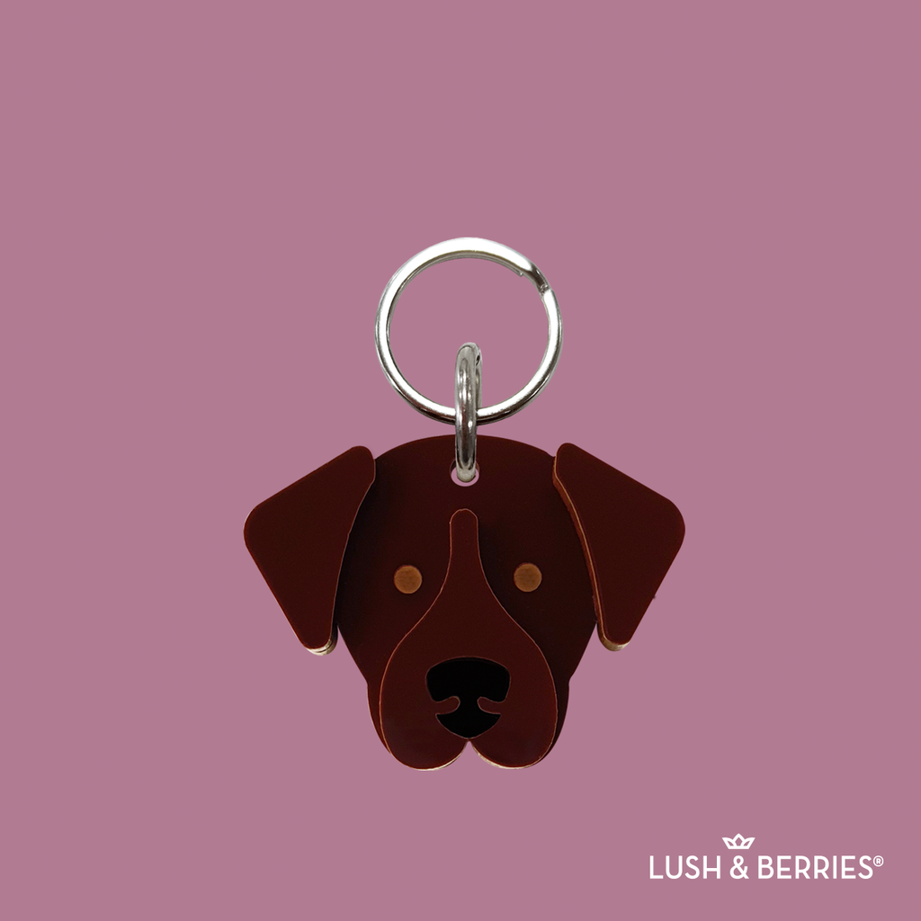 Placa para perro: Labrador