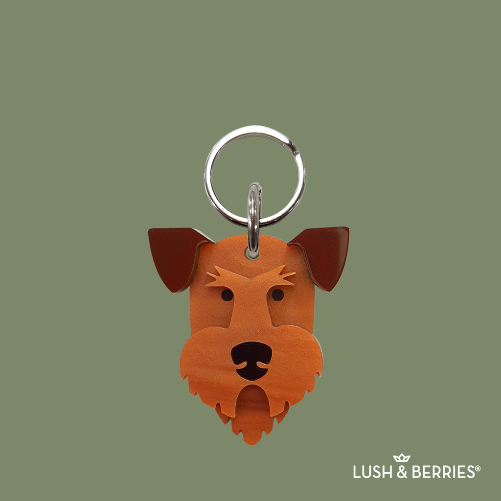 Placa para perro: Welsh Terrier